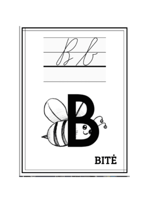 Raidynas ( rašytinės raidės)