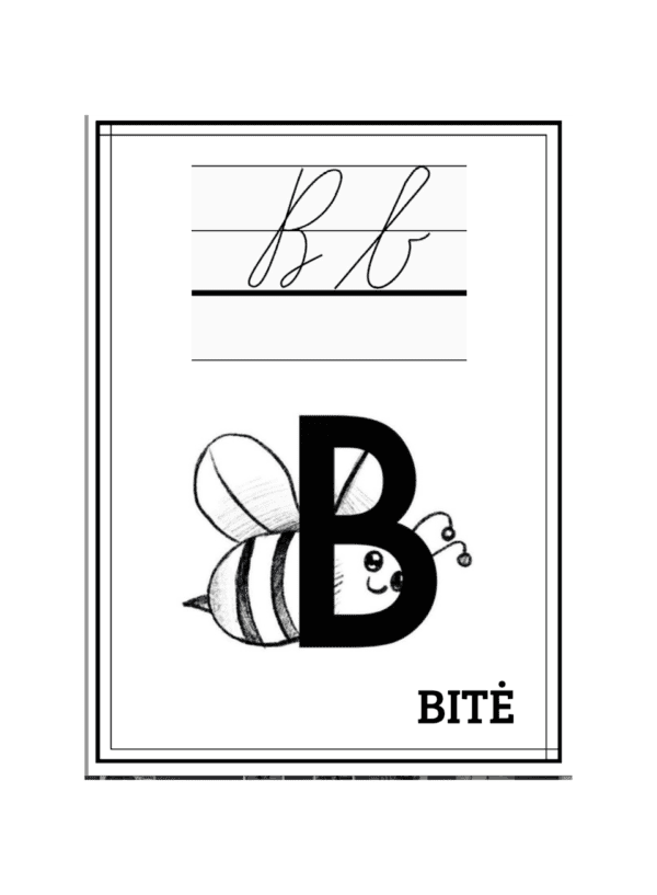 Raidynas ( rašytinės raidės)