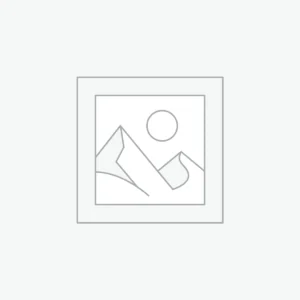 Atminties žaidimas su Disney herojais